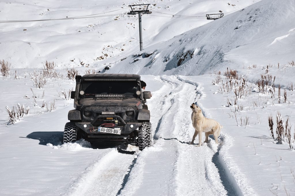 Car Emergency Kit -Car in Snow