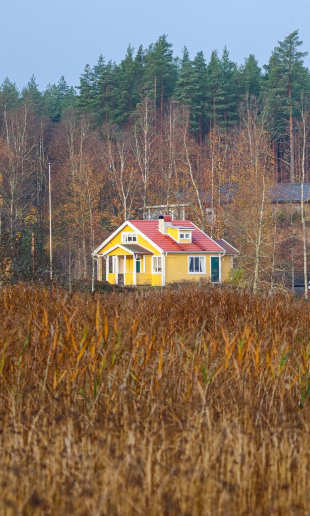 Yellow House