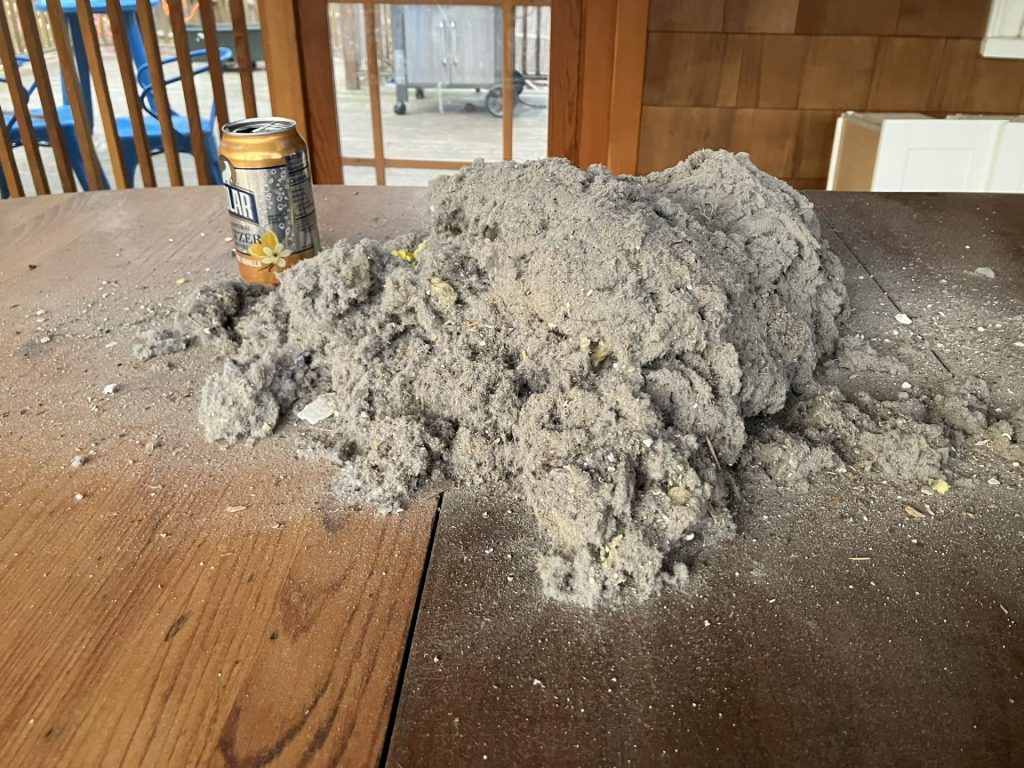 Dryer Lint Removed From ONE Home (2)