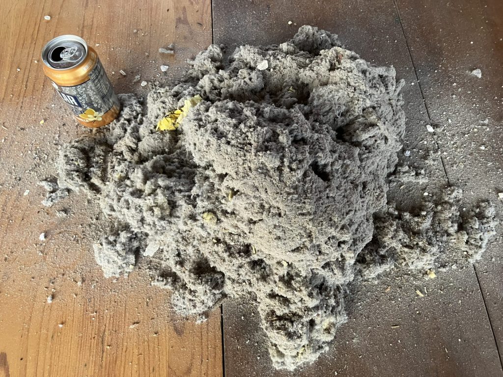 Dryer Lint Removed From ONE Home