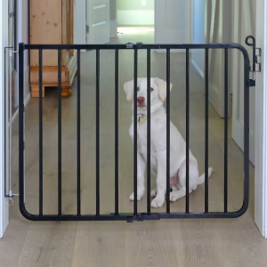 Wall-Mounted Pet Gate